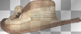 hat chapeau glitter transparent brown