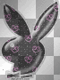 Black Bunny