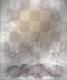 foglie 