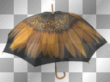 Floral umbrella