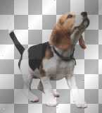 Dog / Puppy - melarocks_stamps