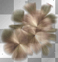 fleur plume bronze fleur plume bronze