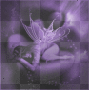 Sleeping Fairy