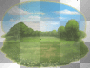 Wiese des RZ's im Sommer