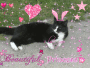 ma purdydou en princess