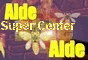 Aldebaran center games