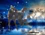 Black horse in tales