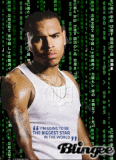 chris brown chris brown