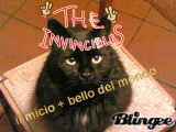 catestella