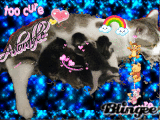 d@ kiTtEnS