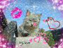 linx8879