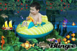 aniel