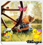 branka53