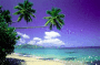 Beach Photo