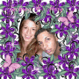A&MPurple