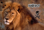 Lion Power!