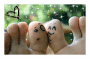 toes