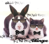 cute animals