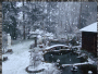 neige