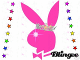 ♥Playboy♥