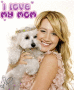 Ash_Dog