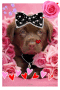 Puppyin pink Puppyin pink