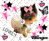 Yorkie Bling