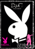 PLAYBOY BUNNIE