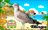 Sea Gull At Beach