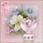 HAPPY SPRING