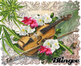 symphonie florale