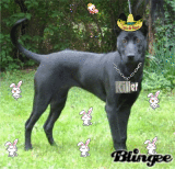 killer (meme si je sais pas ce que ca veux dire...)