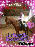 Horse club