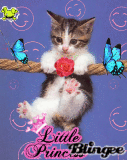 princess