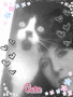 leo und ich