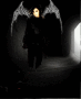 DARK BILL