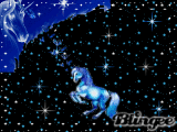 Magical Night