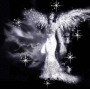 Heavenlyangelspomeranians