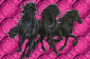 HORSES
