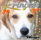 Princess  Girl