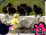 Animated Picture