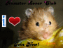 Hamster Lover