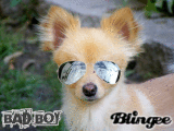 bad boy