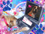 I miss my Boxer Boyfriend on Dogster!  Love you and miss you baby!