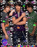 the jonas brothers 