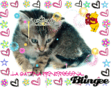 la my gattina