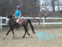 trixie