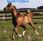 good fortune