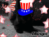 mimzy 4th of july
