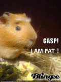 GASP!I AM FAT!